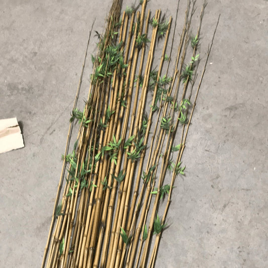 Bamboo tongkat pucuk little green leaves - Rustic Furniture Outlet