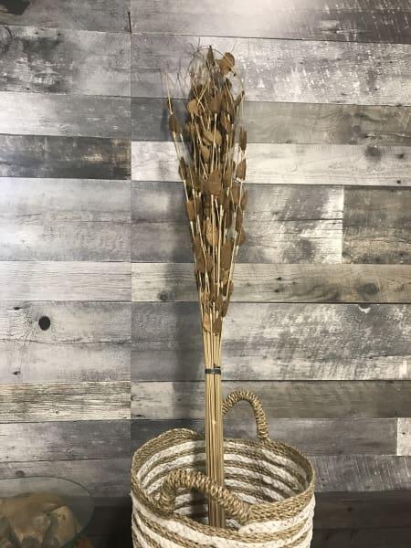 Pandanus Deco Stand G (set of 8 stems) - Rustic Furniture Outlet